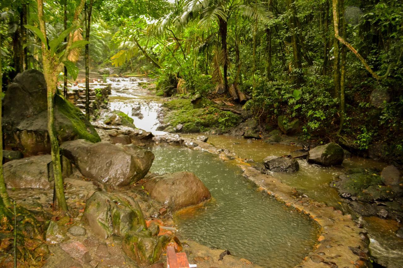 Hotel Termales Del Bosque & Hot Springs La Marina Exteriér fotografie