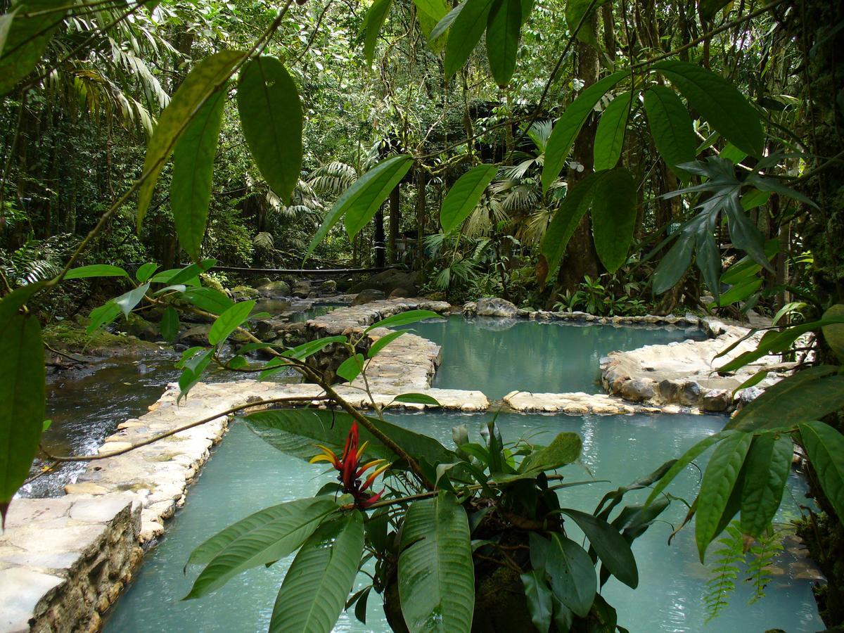Hotel Termales Del Bosque & Hot Springs La Marina Exteriér fotografie