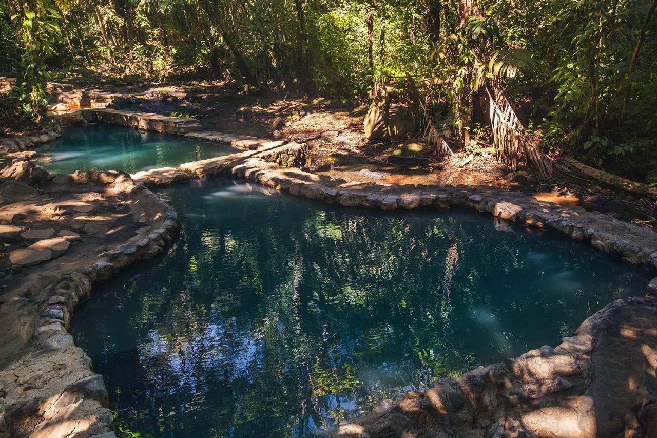 Hotel Termales Del Bosque & Hot Springs La Marina Exteriér fotografie