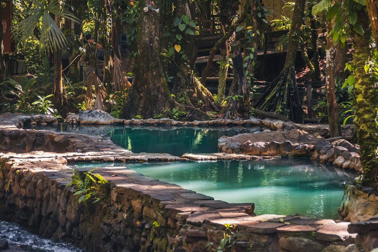 Hotel Termales Del Bosque & Hot Springs La Marina Exteriér fotografie